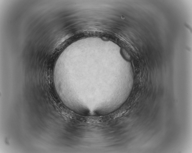 X0000096220870200802081523