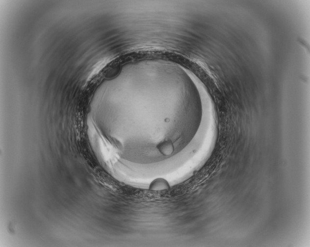 X0000096220871200802081523