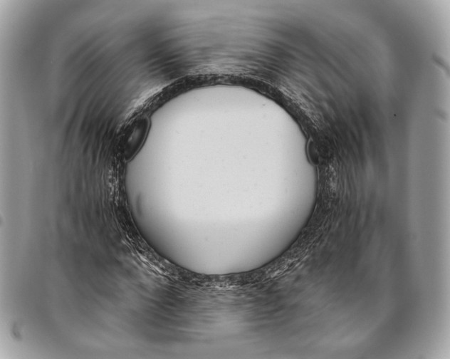 X0000096220872200802081523