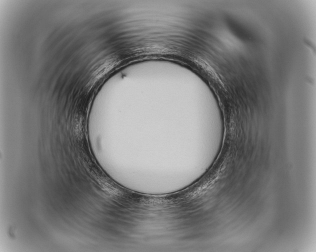 X0000096220873200802081523