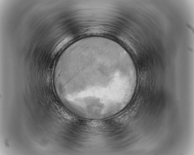 X0000096220874200802081523