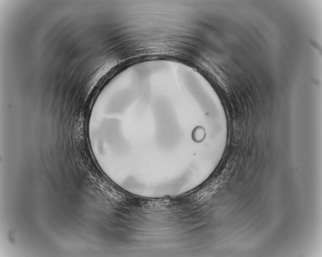 X0000096220875200802081523