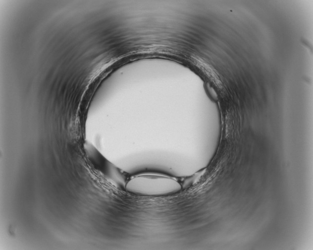 X0000096220876200802081523