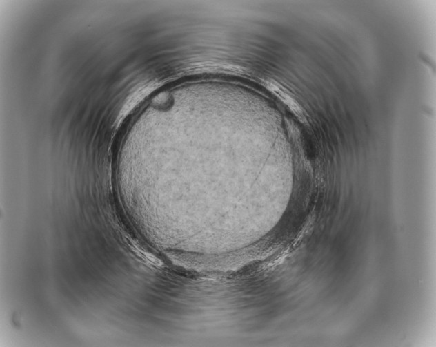 X0000096220877200802081523