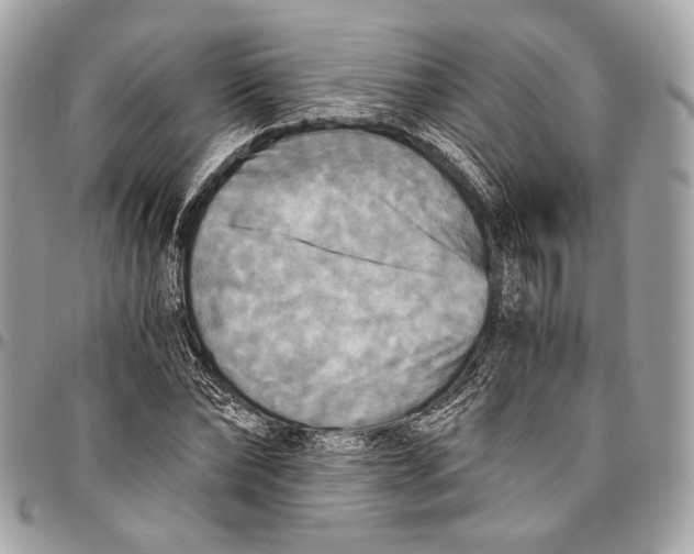 X0000096220878200802081523