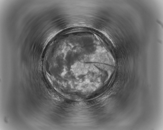 X0000096220879200802081523