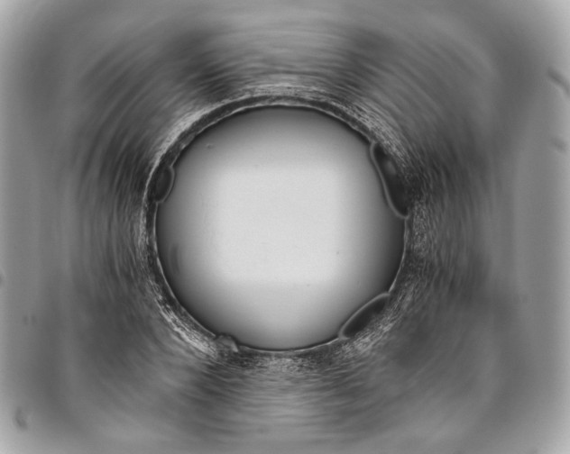 X0000096220880200802081523