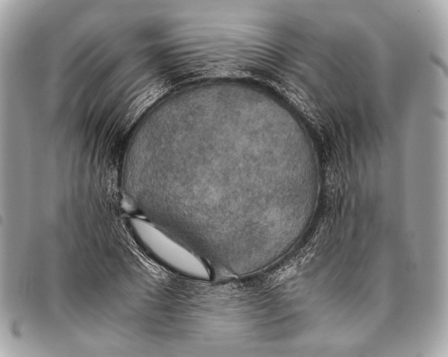 X0000096220881200802081523