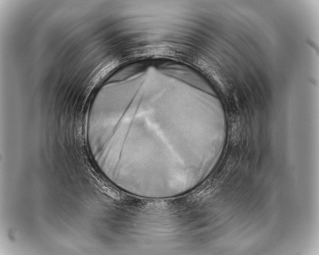 X0000096220882200802081523