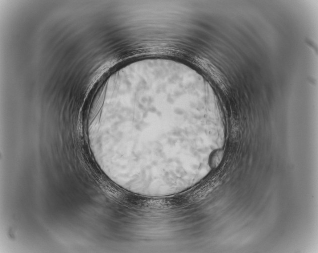 X0000096220883200802081523