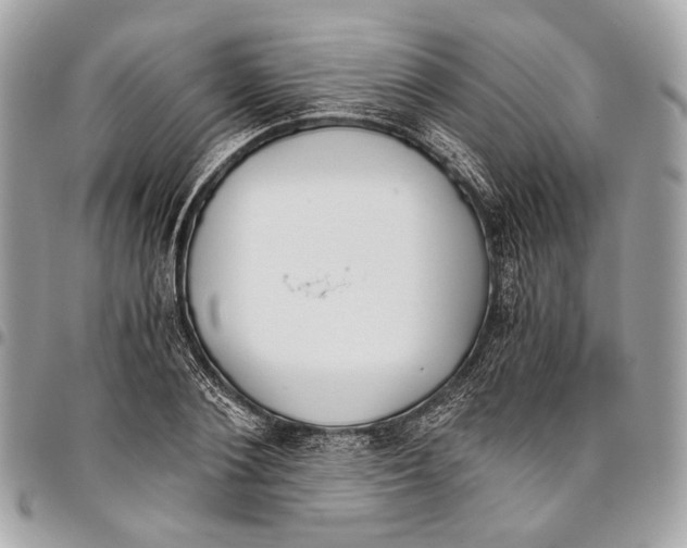 X0000096220884200802081523