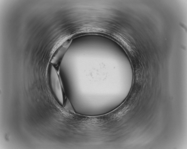 X0000096220885200802081523