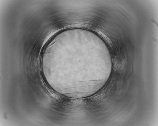 X0000096220886200802081523