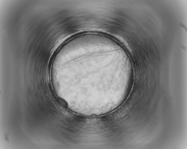 X0000096220887200802081523