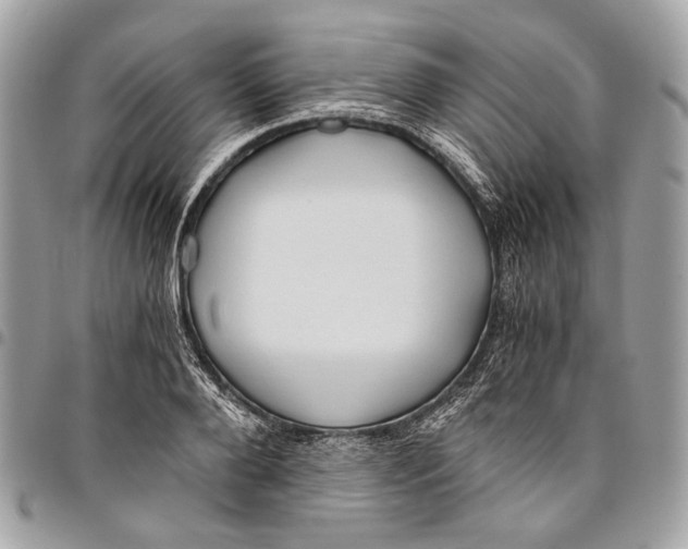 X0000096220888200802081523