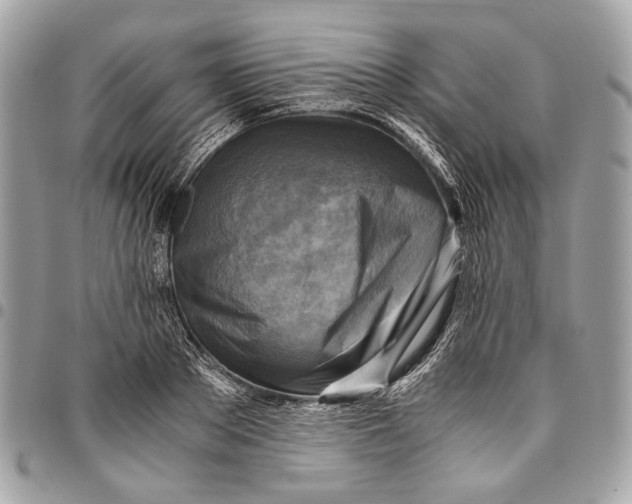 X0000096220889200802081523