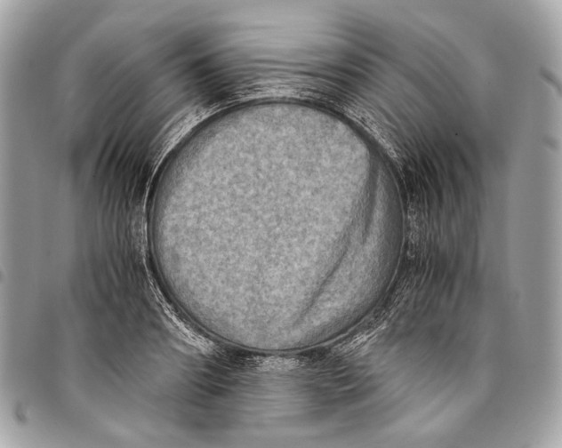 X0000096220890200802081523