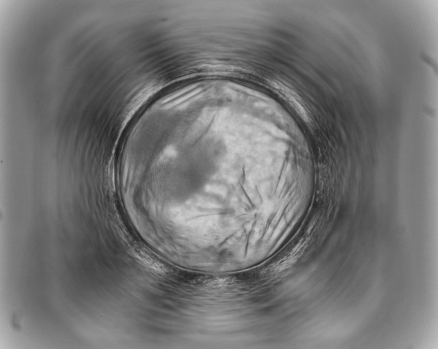 X0000096220891200802081523