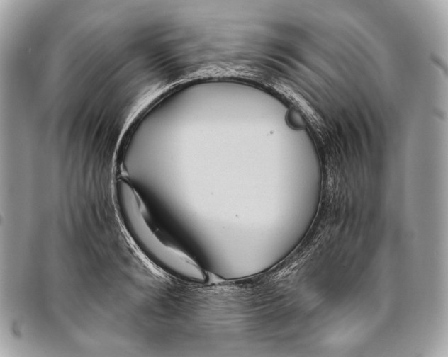 X0000096220894200802081523