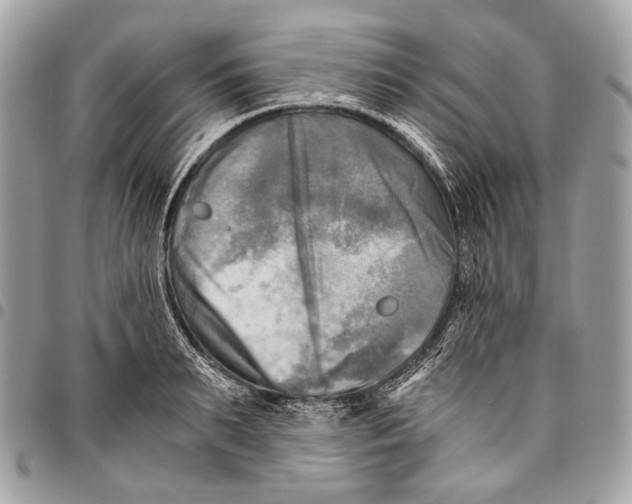 X0000096220895200802081523