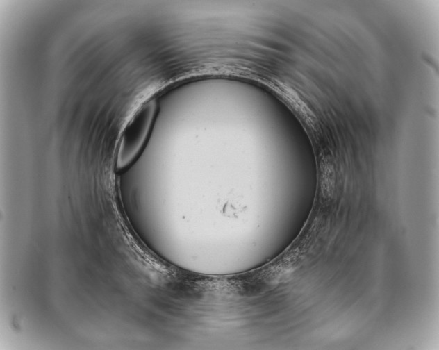 X0000096220896200802081523