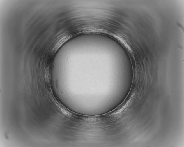 X0000096220897200802081523