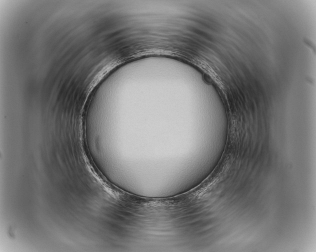 X0000096220898200802081523