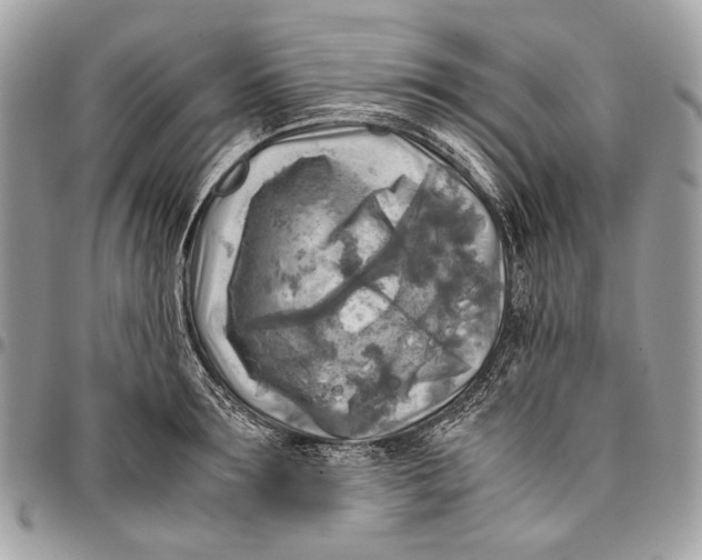 X0000096220899200802081523