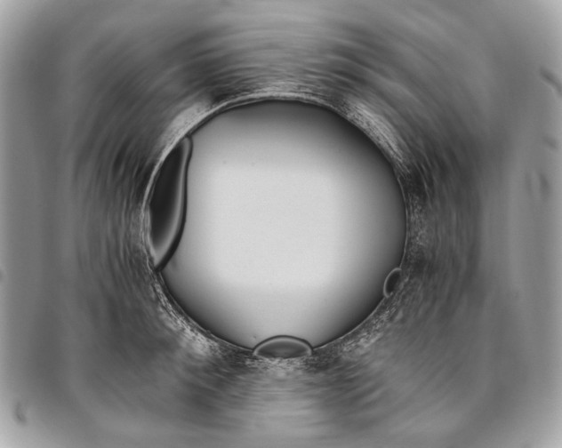 X0000096220900200802081523