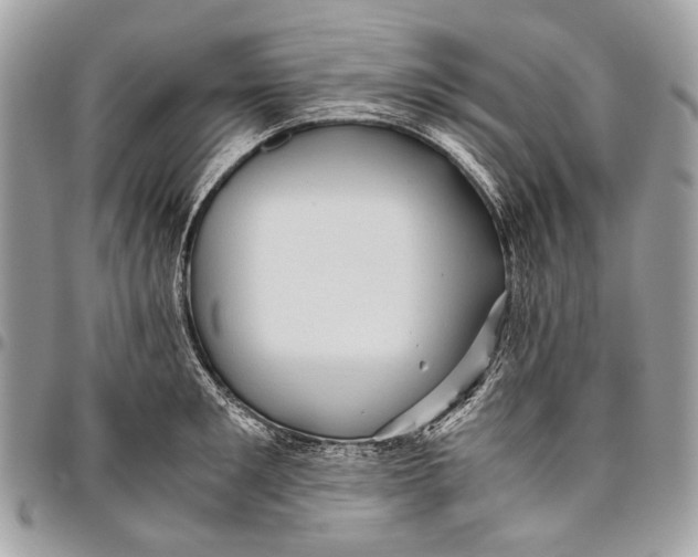 X0000096220901200802081523