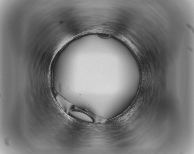 X0000096220902200802081523