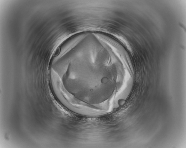 X0000096220903200802081523