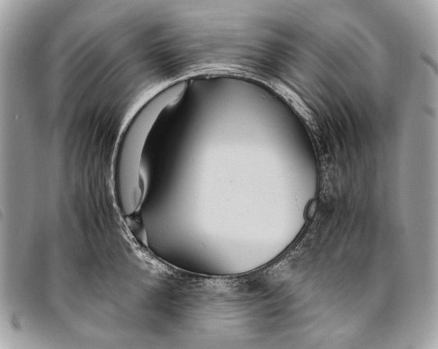 X0000096220904200802081523