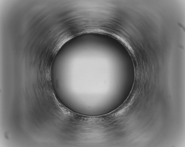 X0000096220905200802081523