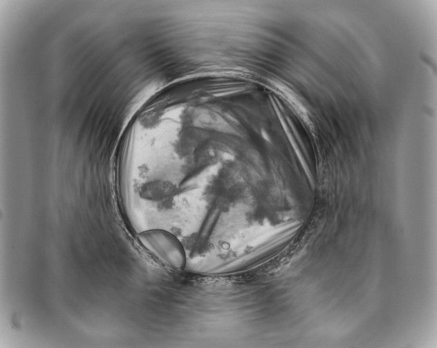 X0000096220907200802081522