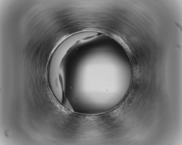 X0000096220908200802081522