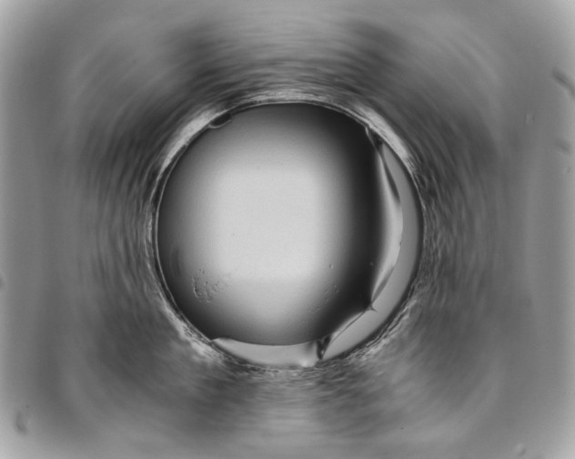 X0000096220909200802081522