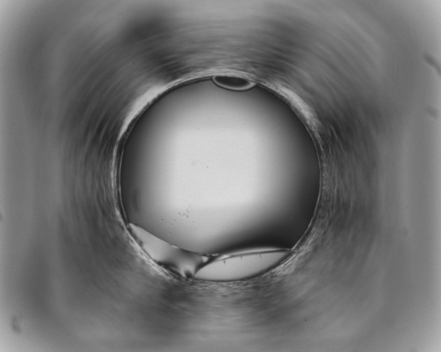 X0000096220910200802081522