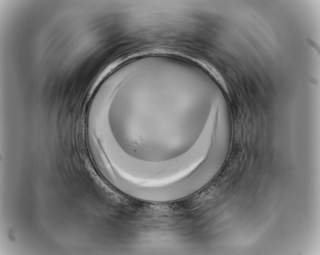 X0000096220911200802081522