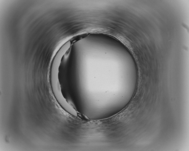 X0000096220912200802081522