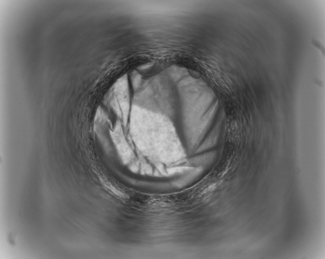 X0000096220913200802081522