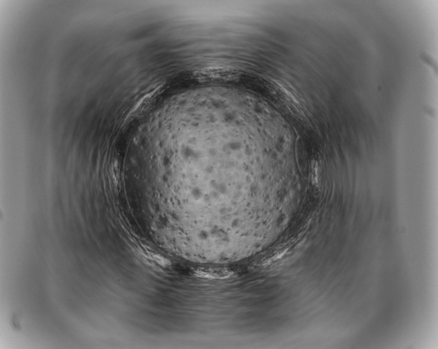 X0000096220915200802081522