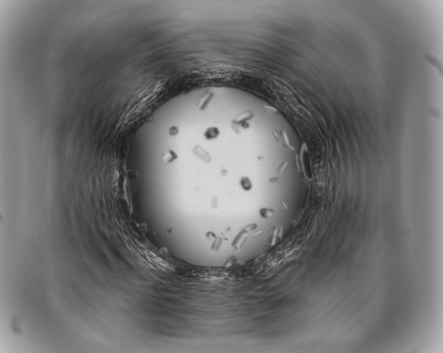 X0000096220916200802081522