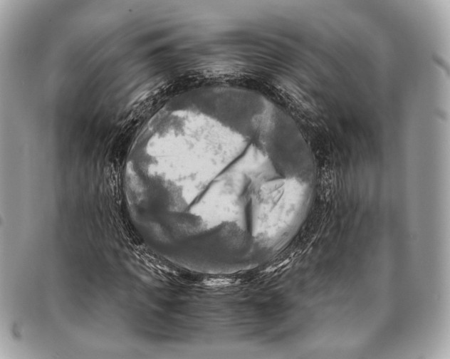 X0000096220917200802081522