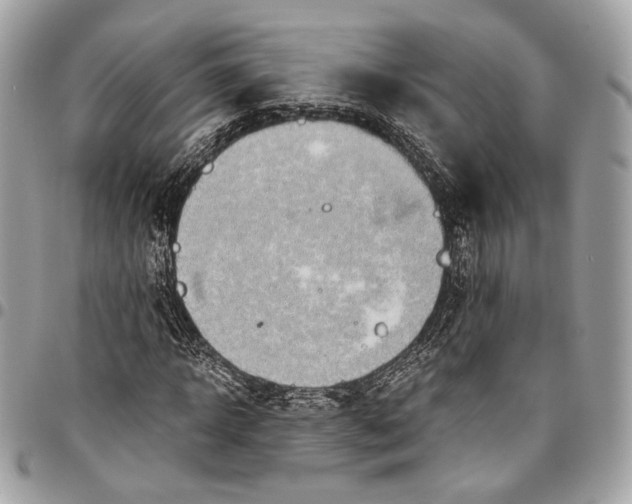 X0000096220918200802081522