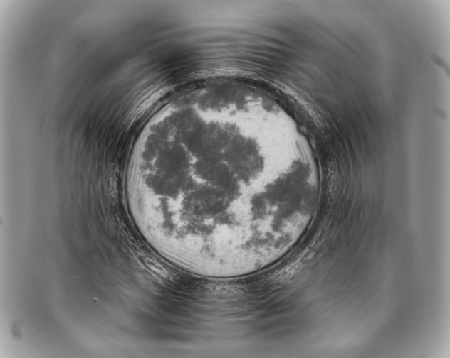 X0000096220921200802081522