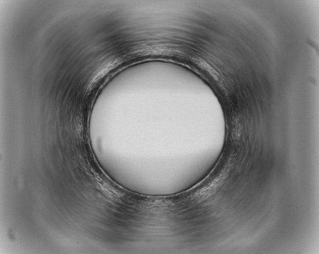 X0000096220922200802081522