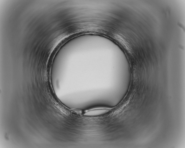 X0000096220924200802081522