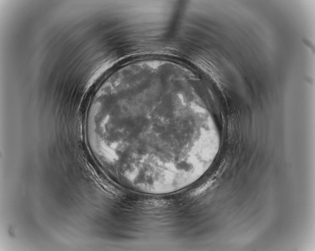 X0000096220925200802081522