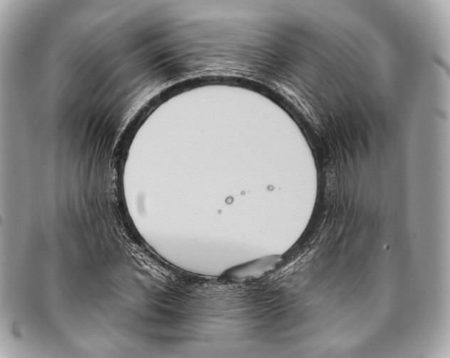 X0000096220926200802081522